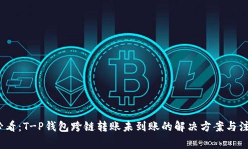 2025必看：T-P钱包跨链转账未到账的解决方案与注意事项