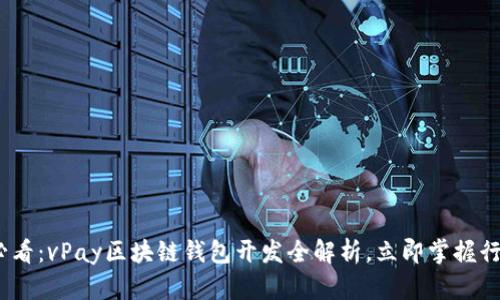 2025必看：vPay区块链钱包开发全解析，立即掌握行业趋势