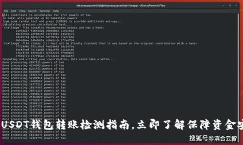 2025必看：USDT钱包转账检测指南，立即了解保障资金安全的方法！
