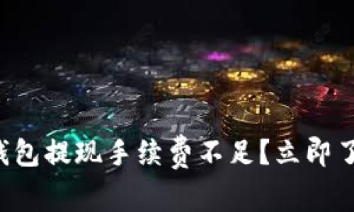 2025年T P钱包提现手续费不足？立即了解如何解决！