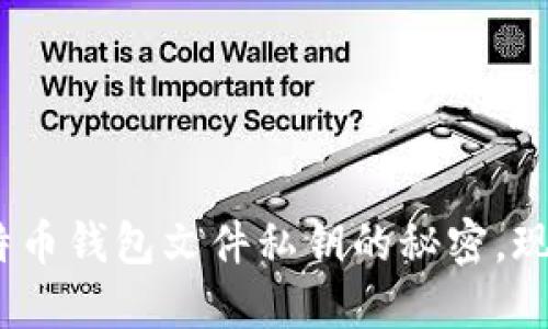 2025必看：早期比特币钱包文件私钥的秘密，现在获取超实用指南！
