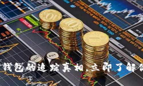 2025必看：虚拟币钱包的追踪真相，立即了解你的资产安全现状！