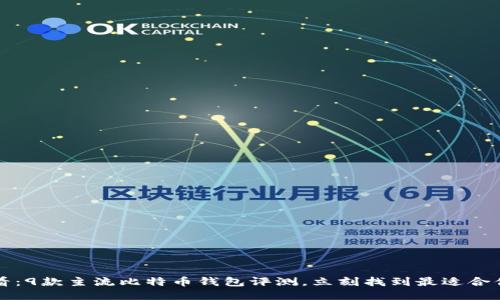 2025必看：9款主流比特币钱包评测，立刻找到最适合你的钱包！